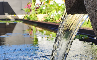 Paisajismo Paraguay, Estanque, peces, plantas acuáticas, paisajismo, fuente de agua