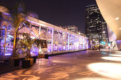 14435410_10210179936673223_7876781254514807402_o