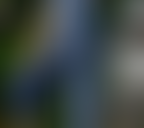 Unveiling the Varieties and Designs to Master in Cotton Embroidered Kurtis from Dharan Clothing