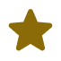 material-symbols_star-rounded.png