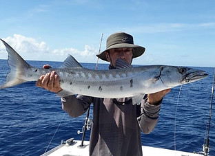 Barracuda Pescado em Itacaré Bahia