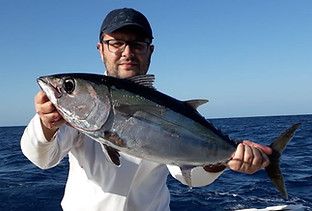 Atum pescado em intacaré bahia