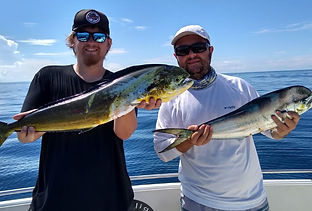 Dourado pescado em intacaré bahia