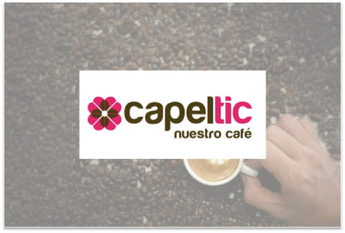 CAPELTIC WEB