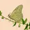 Miniatura: Figuras decorativas para plantas, Butterfly - Another Studio