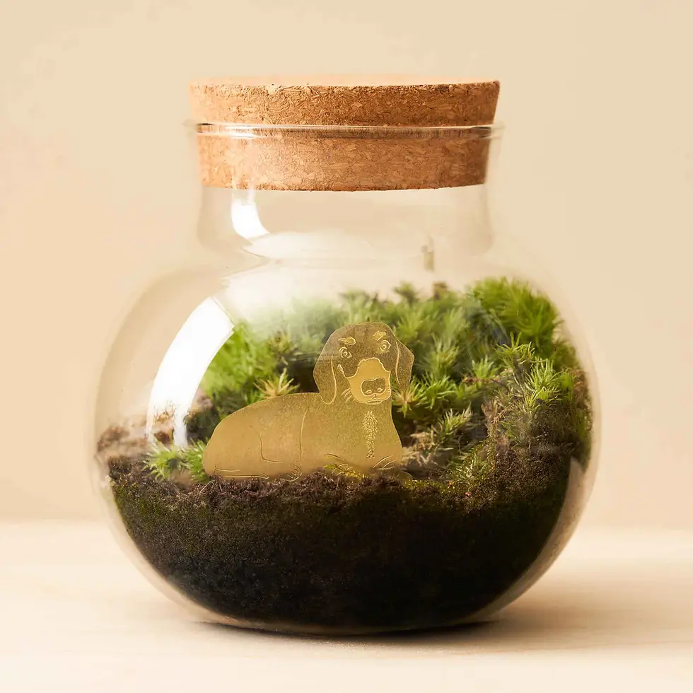 Miniatura: Figuras decorativas para plantas, Dachshund, Stanley - Another Studio