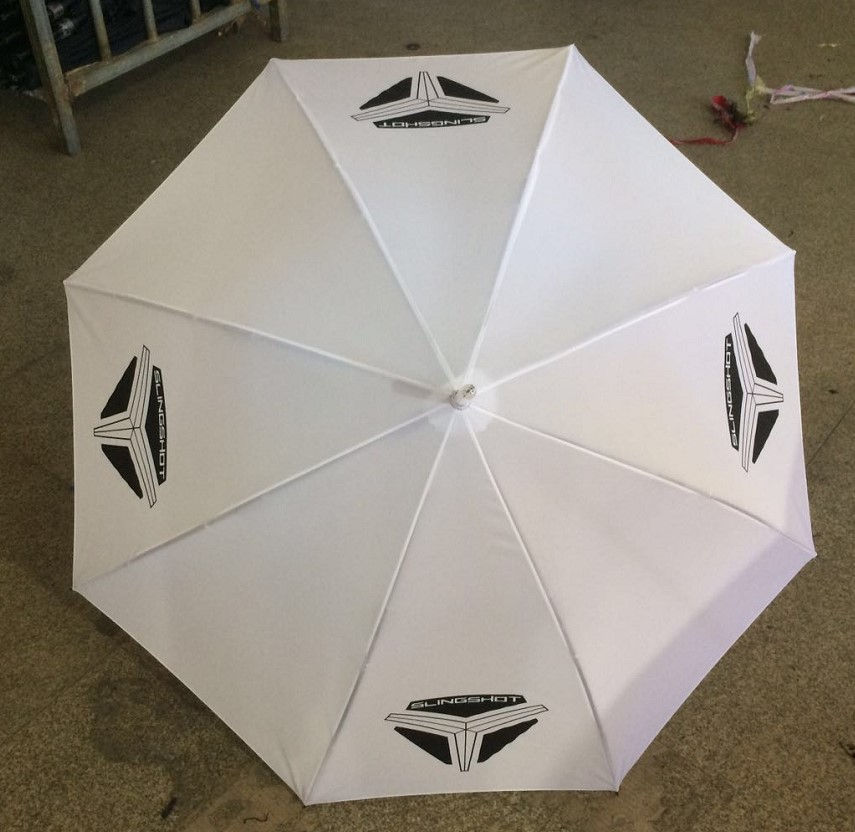 Thumbnail: Polaris slingshot RBG Umbrella 