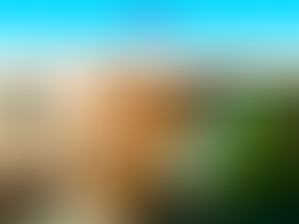 Confira os lançamentos de setembro da Editora Caxinguelê