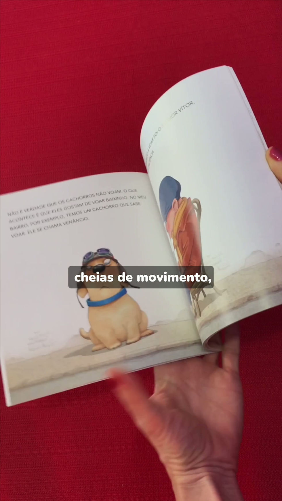 Miniatura: Venâncio voa baixinho
