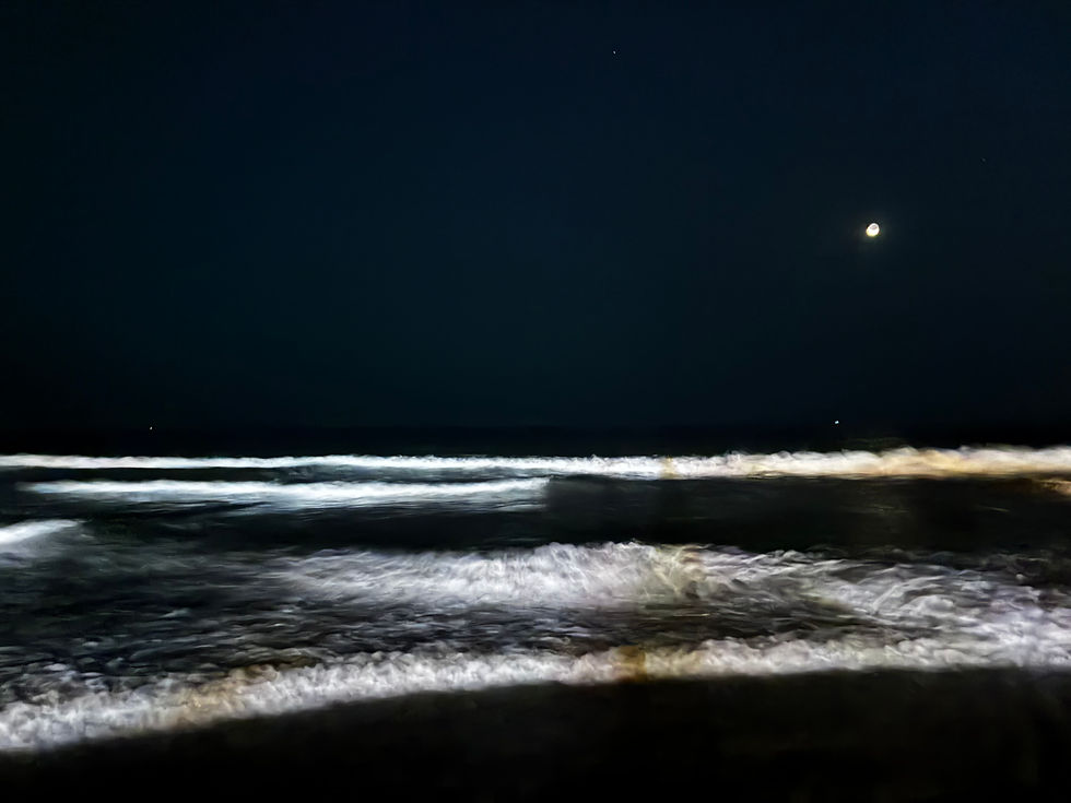 Everything Looks More Honest At Night