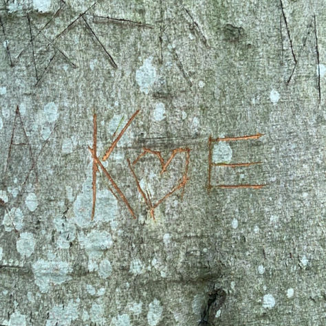 Love Starts With K