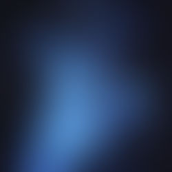 onyx & clipped wings