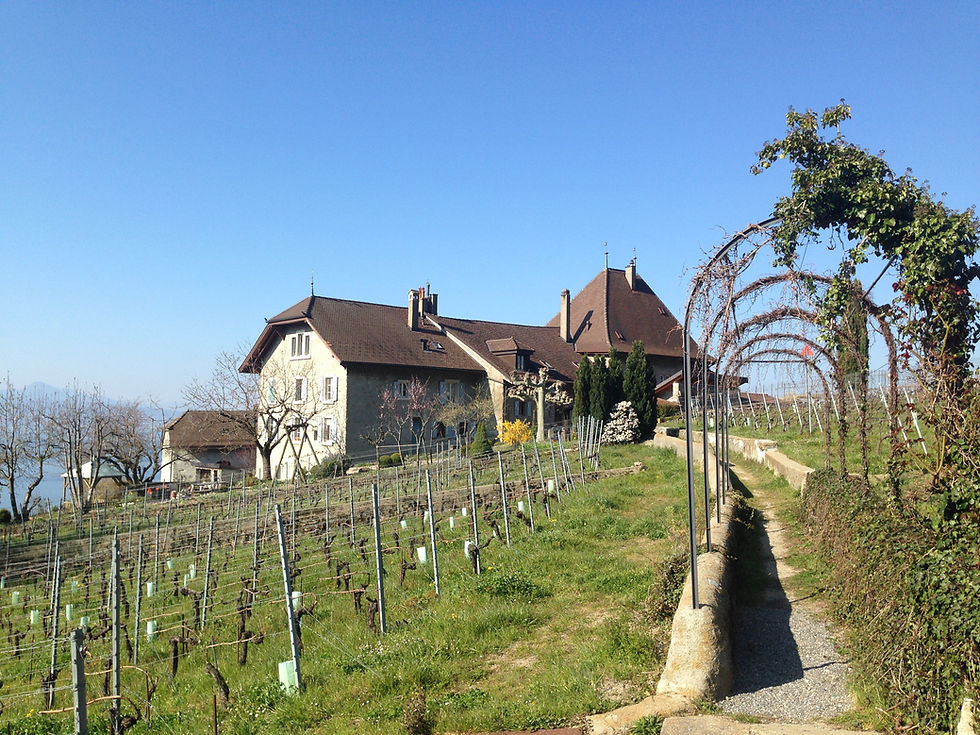 Thumbnail: Walk with winetasting, 4 participants, CHF 100.- / person