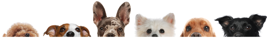 10_edited.png