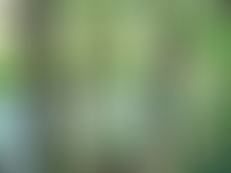 "Randonnée bucolique en Petite Camargue : découvrez les charmes cachés du Cailar"