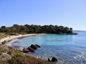 Sentier du littoral entre Cabasson et l'Estagnol Bormes les Mimosas Var
