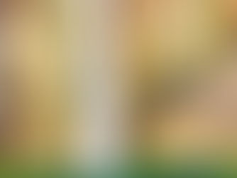 Sillans la cascade Var Provence alpes côte d'azur sud de la France