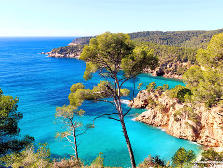 randonnée sentier du littoral Bandol saint Cyr sur mer Var Provence Alpes Côte d'Azur France