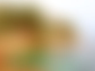 Randonnée sentier du littoral du Lavandou côte d'azur var sud de la France