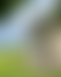 Randonnée Puy de Lassolas et Puy de la Vache par les Puys Montjuger et Pourcharet puy de dome chaine des puys parc naturel régional des volcans d'Auvergne Massif Central France blog voyage lesdecouvertesdemagalie