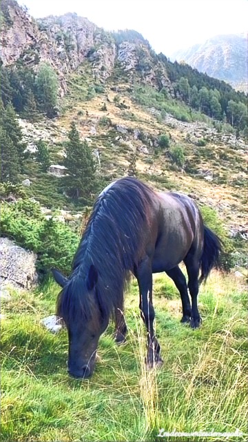 Mérens pyrénées Randonnée Etang de Lanoux Pyrénées orientales haute montagne lac Carlit Porté puymorens Occitanie blog randonnée voyage lesdecouvertesdemagalie blogueuse france sud de la france