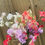 Thumbnail: MIXED SWEET PEAS