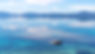 DSC_5087-Edit-Edit.jpg