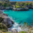 China cove Point Lobos