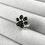 Thumbnail: Paw Print