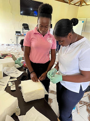 Midwives for Haiti.jpeg