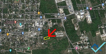 2 hectareas citia pp vallejo.jpg