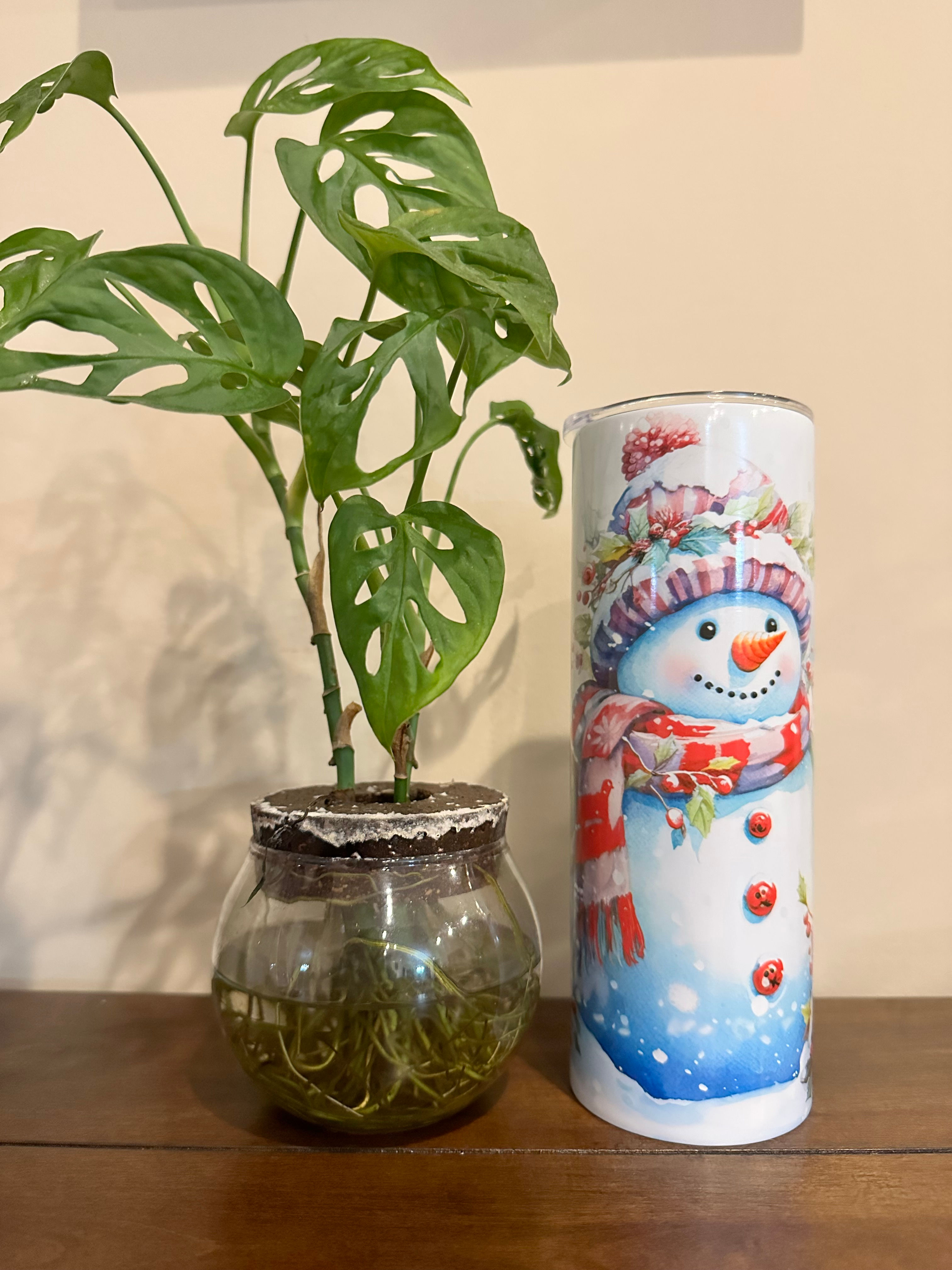 Snowman beside a lantern 20oz Tumbler