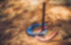 Horseshoes!