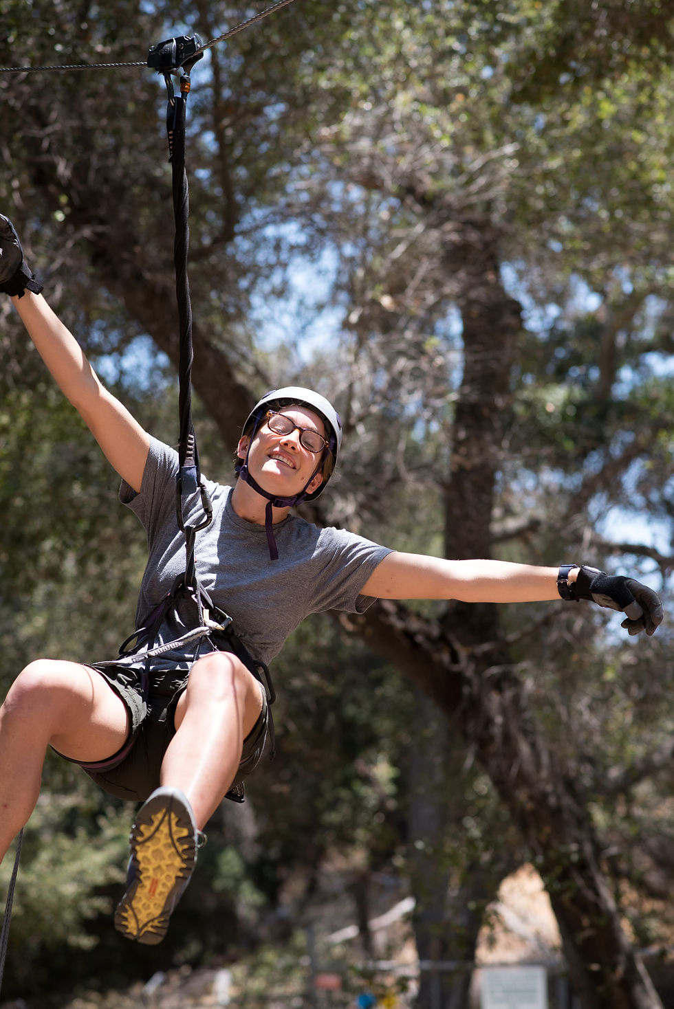 Zipline*