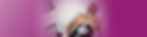 SB-SiteWeb-Headers-Activites-SupraSculpt.jpg