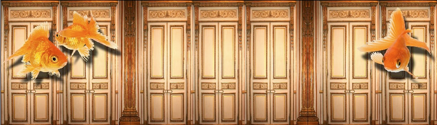 Panel Layout