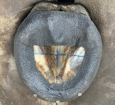 619D37CC-7913-46E2-8BB5-5A63BE88FA6B_L0_001-15_7_2024, 15_58_58.jpg