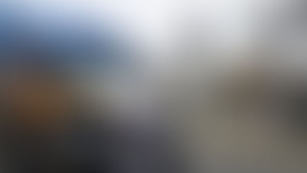 A Trucker, a Tree, and a Holiday Tradition That Connects a Nation