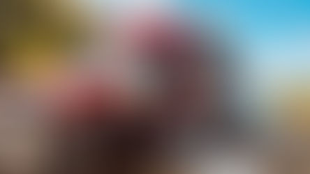 Serious Collision on Highway 63: Road Closed for Hours