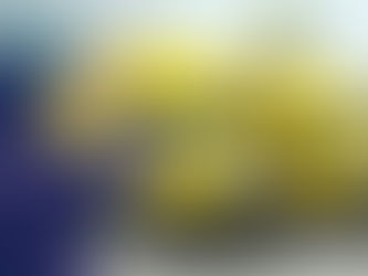 Central Transport sued: experienced female truck drivers allegedly shut out for nearly a decade