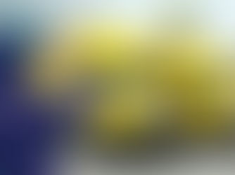 Central Transport sued: experienced female truck drivers allegedly shut out for nearly a decade