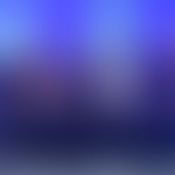 Les lauréats des prix annuels 2025 de l’APTA honorés à Moncton