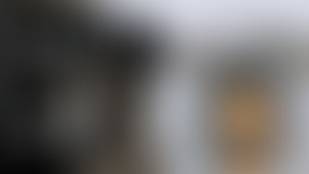 Saisie majeure au pont Blue Water : plus de 60 kg de cocaïne cachés dans un chargement destiné à l’Ontario