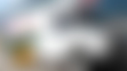 Purolator to Deliver 1.3 Million Packages Per Day Ahead of Christmas