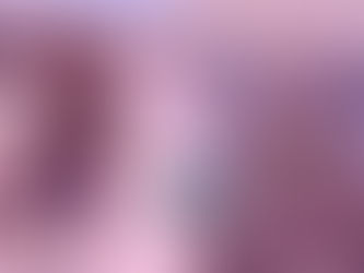 International Women’s Day: MTO Highlights the Women Strengthening Commercial Vehicle Enforcement in Ontario