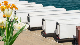 Transport réfrigéré: Miami au cœur de la ruée florale de la fête des Mères