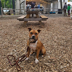 Rhu at Wachusett.jpeg