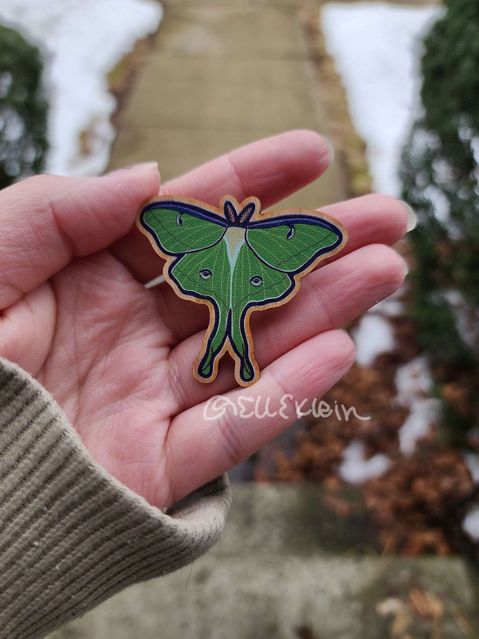Luna Moth