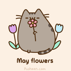 gatito come flores.gif
