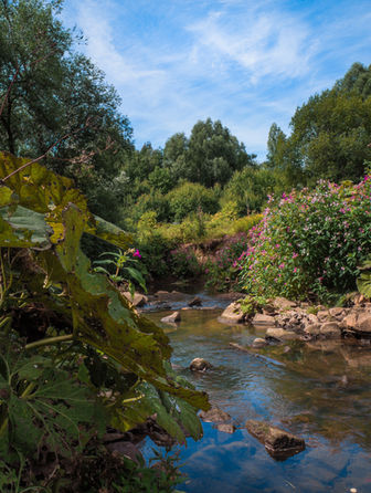Walks in Manchester - Clayton Vale